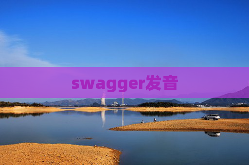 swagger发音